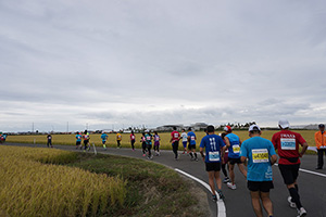 東北・みやぎ復興マラソン2018　フルマラソン