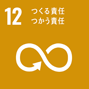 11.住み続けられるまちづくりを